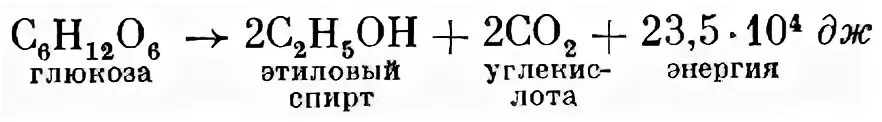 спиртовое брожение глюкозы реакция. спиртовое брожение глюкозы уравнение. 3 типа брожения глюкозы. молочнокислое брожение реакция. дрожжевое брожение формула.