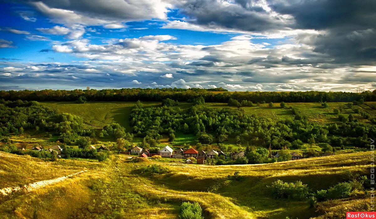 широко раскинулось поле