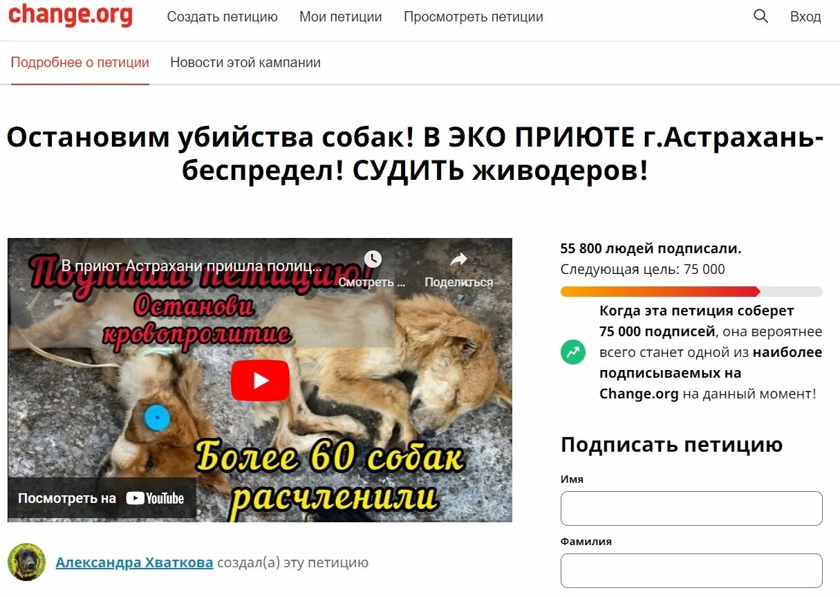 Приют для собак в Астрахани эко. Эко приют Астрахань убивают собак. Hello street cat петиция остановите