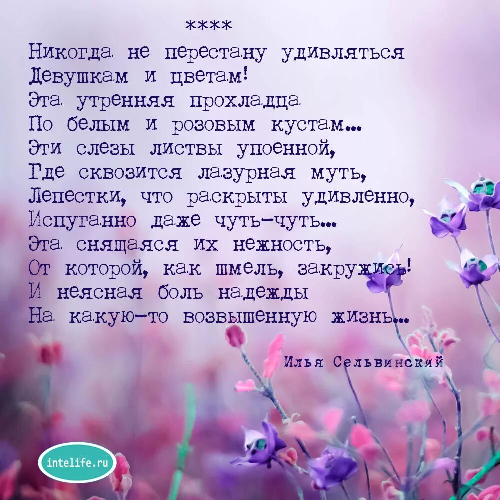 песня удивляй удивляйся люби