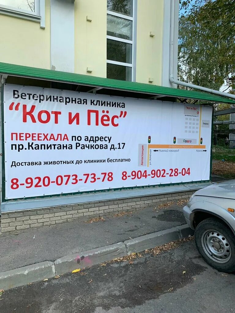 ветеринарный магазин. кот и пес кстово. игрушка для собак магнит. ветеринарная клиника на коммунистическом. кот и пес кстово.