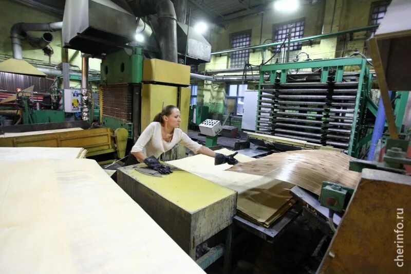 Фанеромебельный комбинат череповец. Фанеромебельный комбинат череповец. Фмк череповец официальный сайт. Фанерно мебельный комбинат череповец. Ао «череповецкий фанерно-мебельный комбинат».