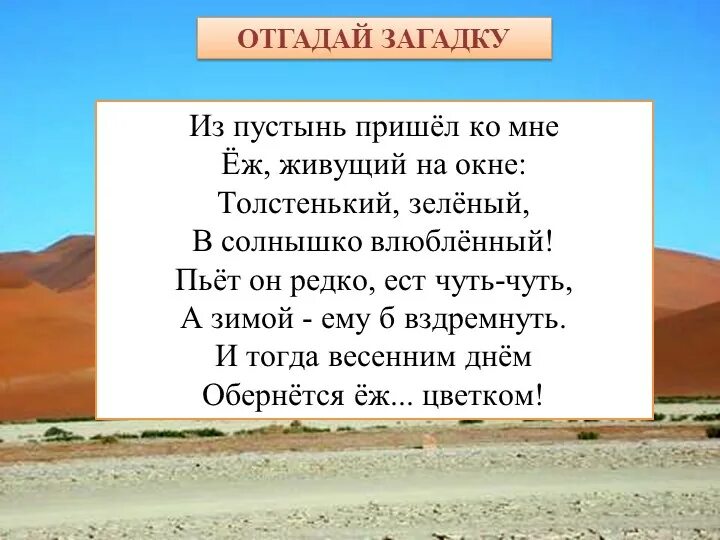 Загадка лежит на дне. Стихи про пустыню. Загадки пустыни. Загадки про пустыню. Стихотворение о пустынях.