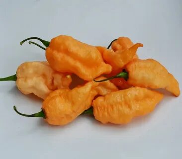 Перец персик
