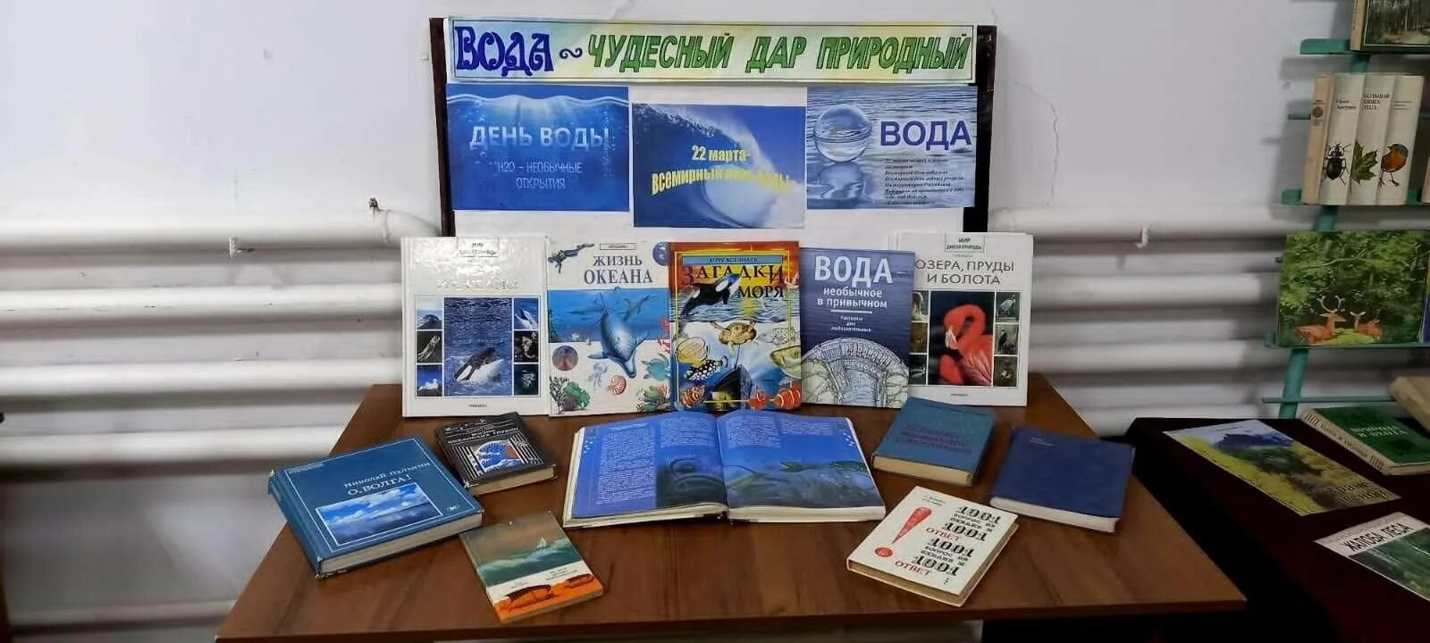 О воде в библиотеке. Книжная выставка о воде. Интересные книжные выставки. Выставка о воде в библиотеке.