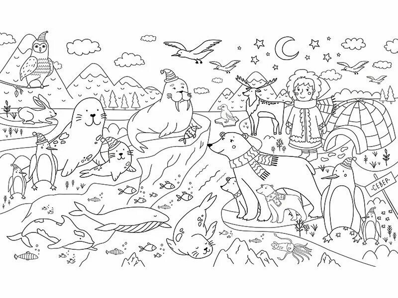 Северный олень раскраска для детей. Животные севера раскраска для детей. Раскраски северный полюс для детей. Животные арктики раскраска. Животные арктики раскраска.