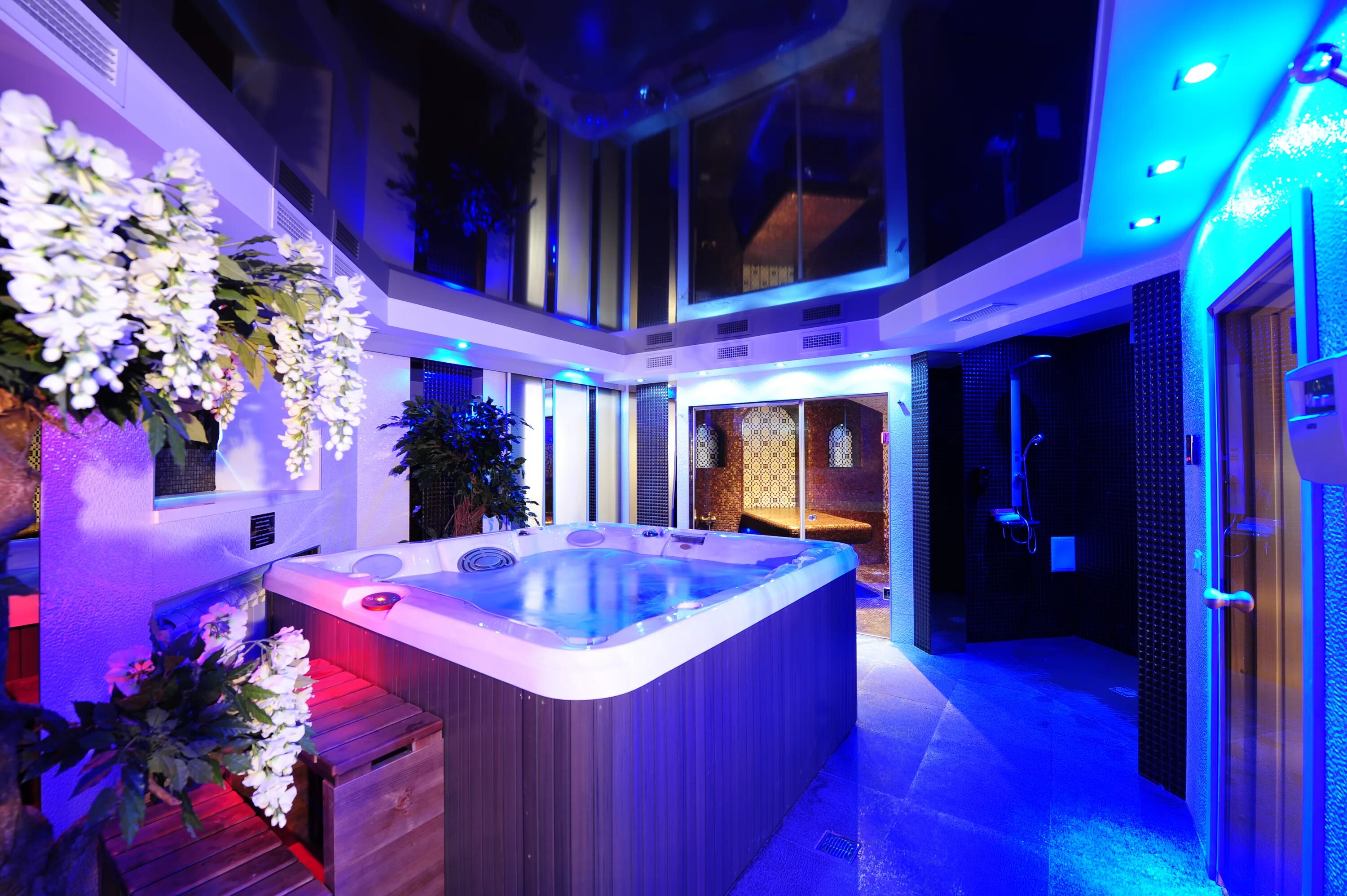 салон орхидея массаж. спа орхидея спб. массажный салон орхидея. спа орхидея спб. спа орхидея спб.