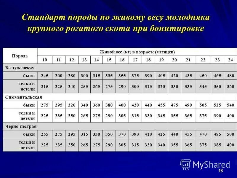 Пестрая масса. Таблица обхват груди крупного рогатого скота. Живая масса молодняка КРС. Стандарты пород КРС по живой массе. Породы крупного рогатого скота таблица.