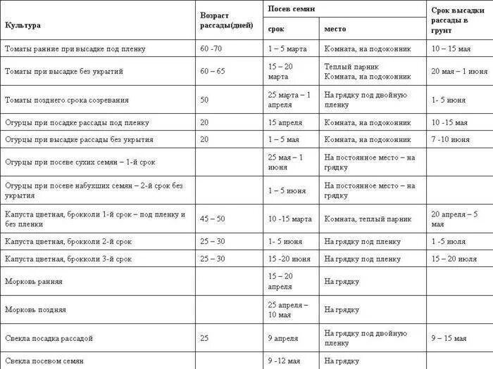 Когда сеять рассаду для открытого грунта. Таблица посева семян на рассаду и высадка в грунт. Когда сеять семена на ра. Когда сеять рассаду для открытого грунта. Возраст рассады овощей для высадки в грунт таблица.