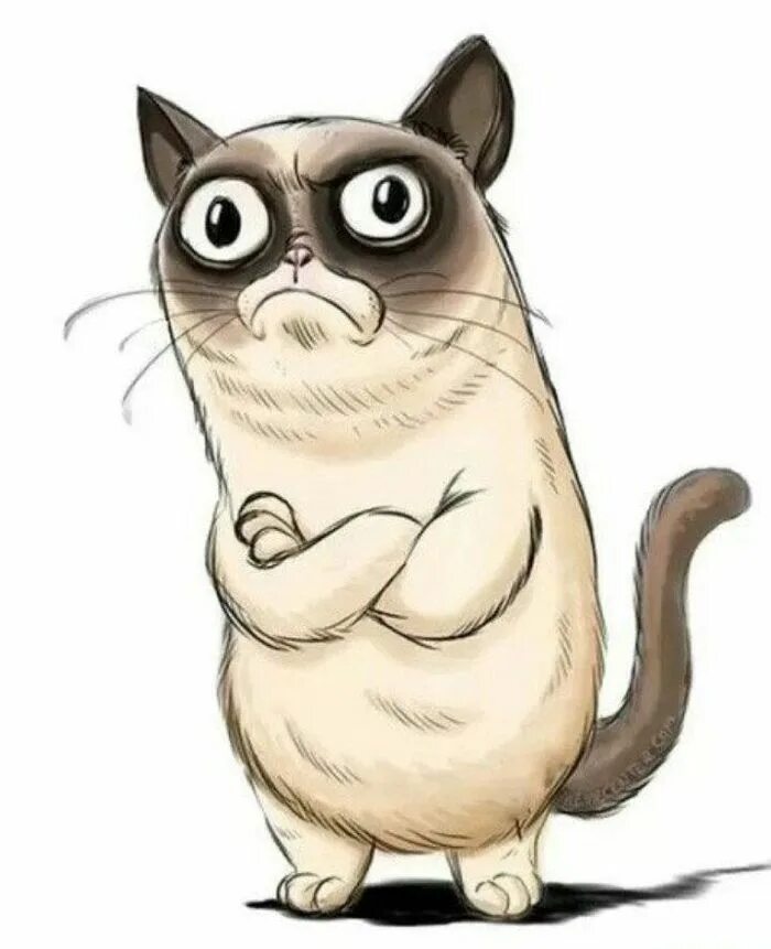 Maria van bruggen смешные коты. Коты марии фон брюгген. Коты марии ван брюгген. Какой смешной рисунок. Какой смешной рисунок.