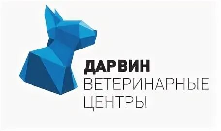 Дарвин ветклиника ульяновск верхняя