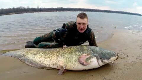 Год сома видео