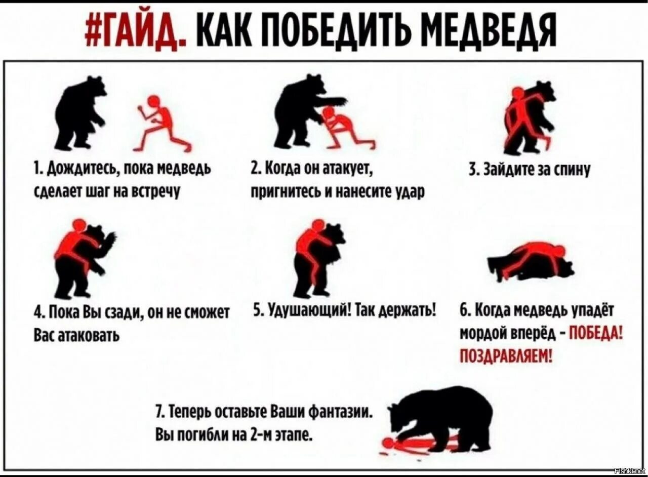 Сильный победит одного знающий тысячу. Как бороться с медведем. мемы с медведем. как победить медведя.