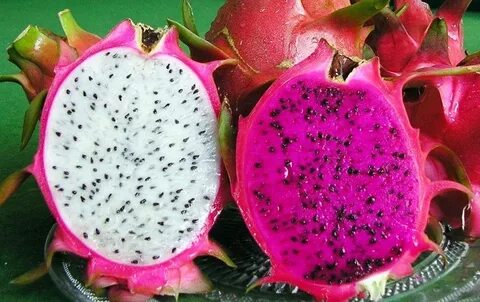 Falcon fruit