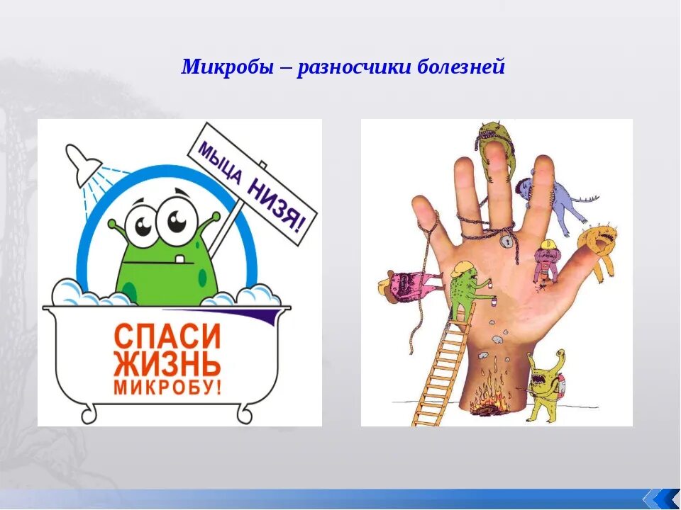 Кто такие микробы. Микробы на руках. микробы на руках для детей. полезные бактерии руки.