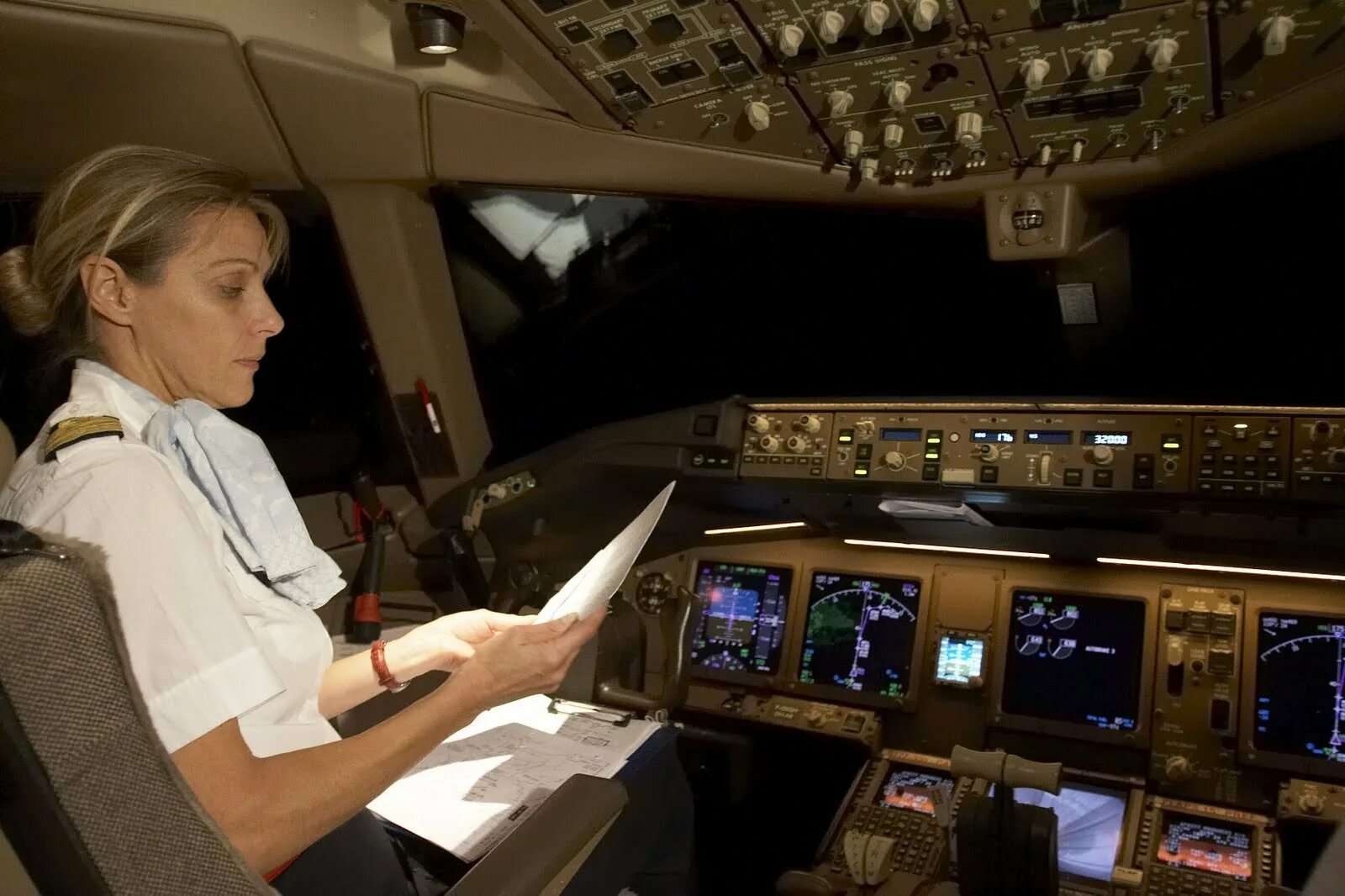 Pilot assistant. Pilot assistant