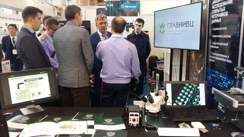 Главнивц