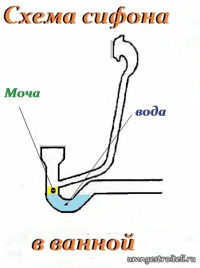 Пахнет мочой из сифона ванны. Как рисовать рычажного вонять. В туалете пахнет мочой