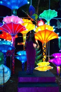 Dubai garden glow отзывы