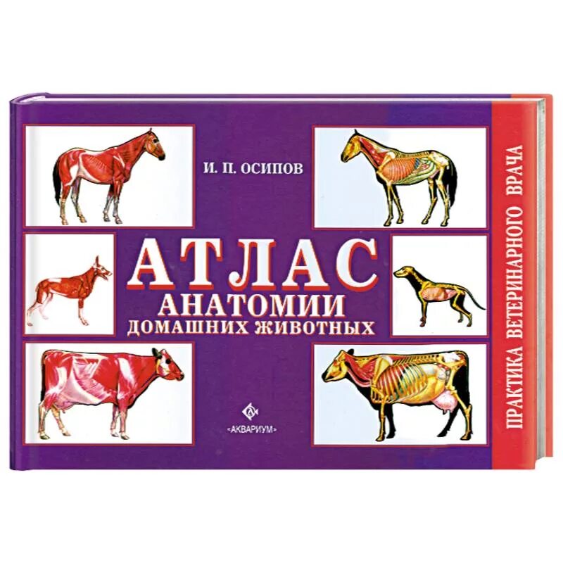 Анатомия домашних животных юдичев. Атлас анатомии животных. Акаевский, ю. Атлас анатомии мелких домашних животных. Атлас ветеринара.