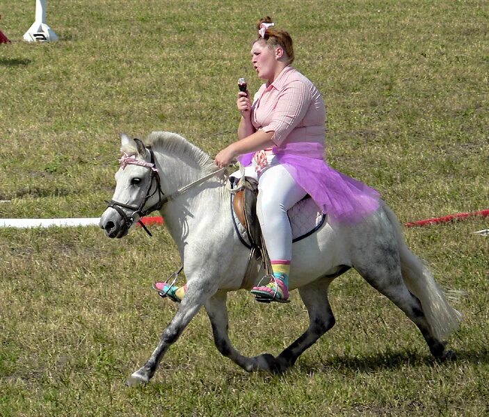 упитанные люди на лошадях. крупные девушки на пони. крупные девушки на пони. верхом на пони. толстая девушка на коне.