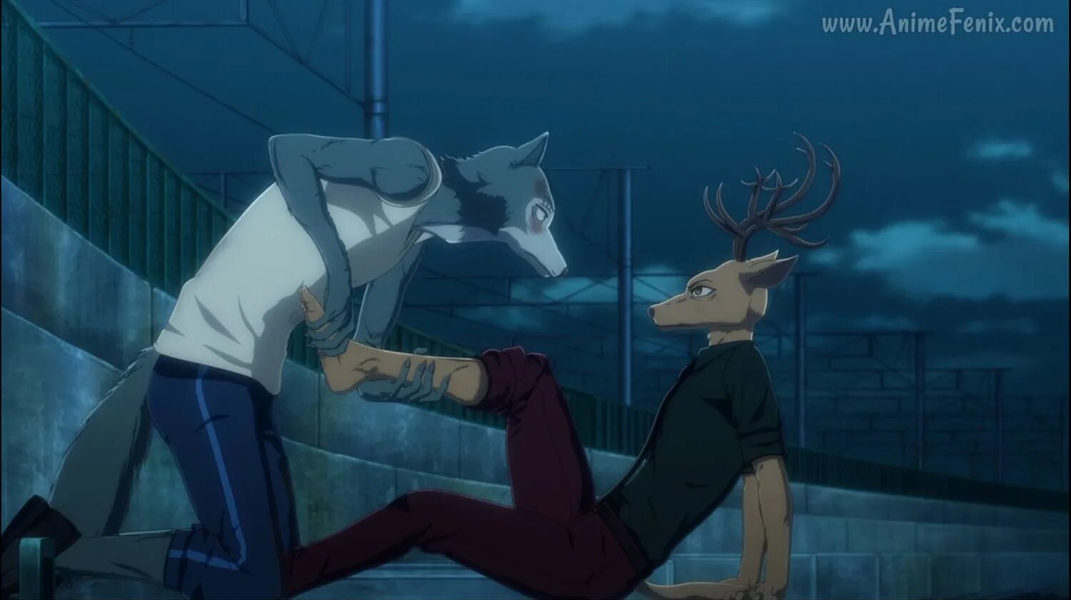Аниме beastars луис. Аниме выдающиеся звери луи. Аниме beastars 2 season. Аниме выдающиеся звери 2. Аниме beastars 1 сезон.