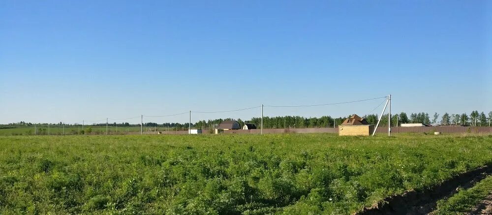 Продать участок без собственника. ИЖС 10 соток. Деревня сетка Тульская область. Деревня сетка Московская обл. Деревня сетка Тульская область фото.