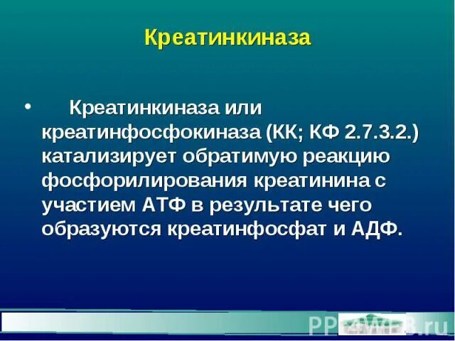 Фермент креатинкиназа. Креатинкиназа катализирует реакцию. Креатинкиназа и креатинфосфокиназа. Фосфокиназы катализируют. Креатинфосфокиназа строение.