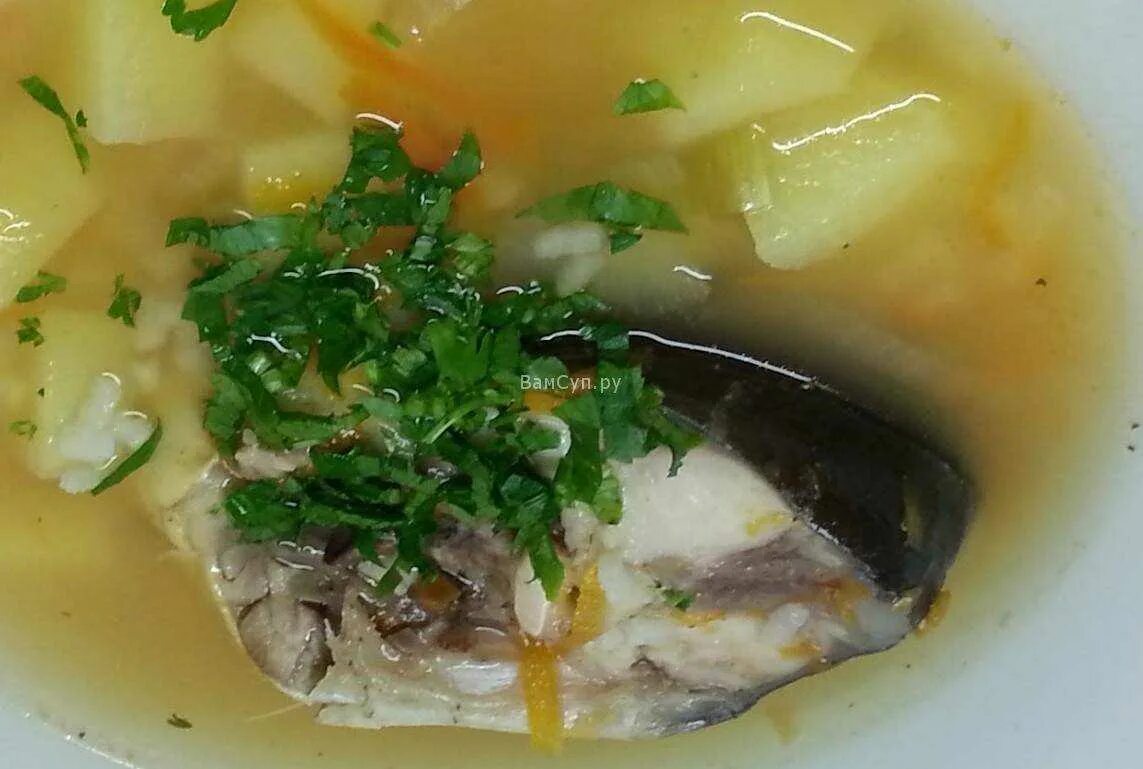 Как приготовить уху из карпа. Уха из карпа. карп уха. уха из карпа на костре. уха без рыбы.