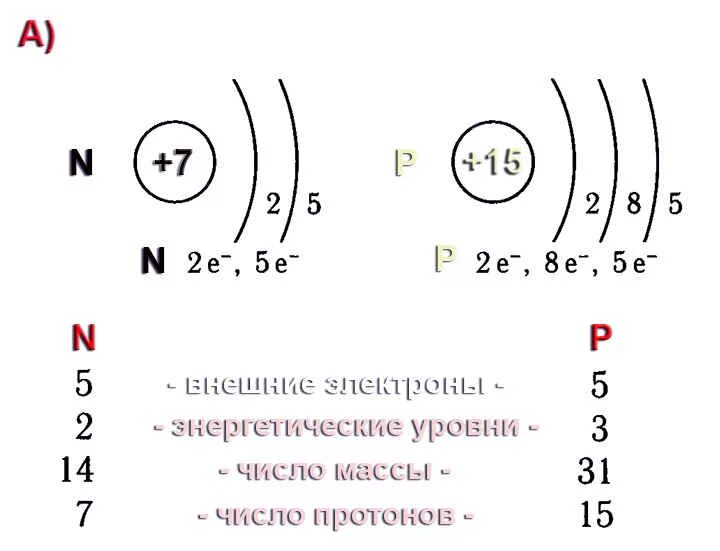 Электронное строение азота и фосфора. Схема строения электронной оболочки. Схема строения атома азота и фосфора. Сравните строение атомов азота и фосфора.