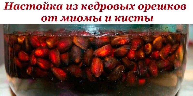 Народные средства от кисты яичника. Настойка кедровых орешек от миомы и кисты. Настойка на кедровых орешках. От миомы и кисты настойка из кедровых орешков. Настой на кедровых орешках от кисты.