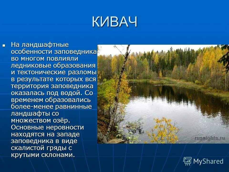 Основная мысль текста заповедник кивач