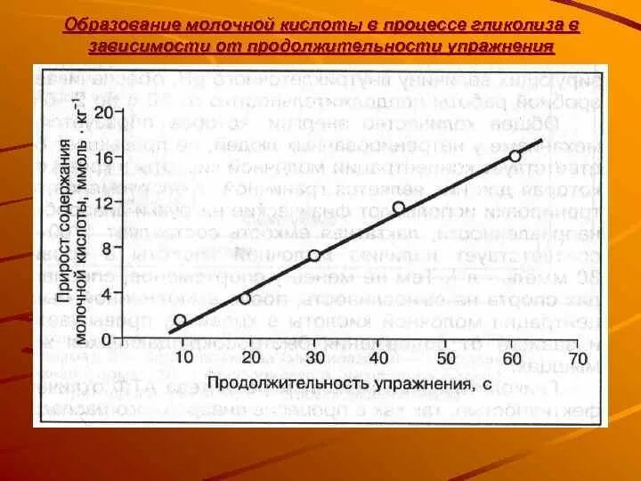 Образуется молочная кислота какой этап