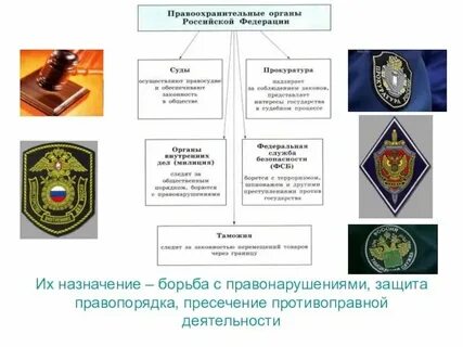 Орган отвечающий за обработку информации