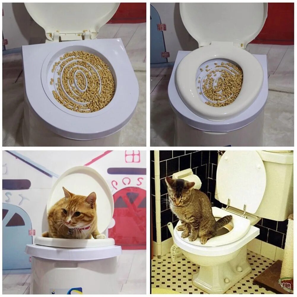 Как приучить кошку