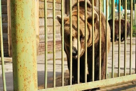 Швейцария парк нижний зоопарк