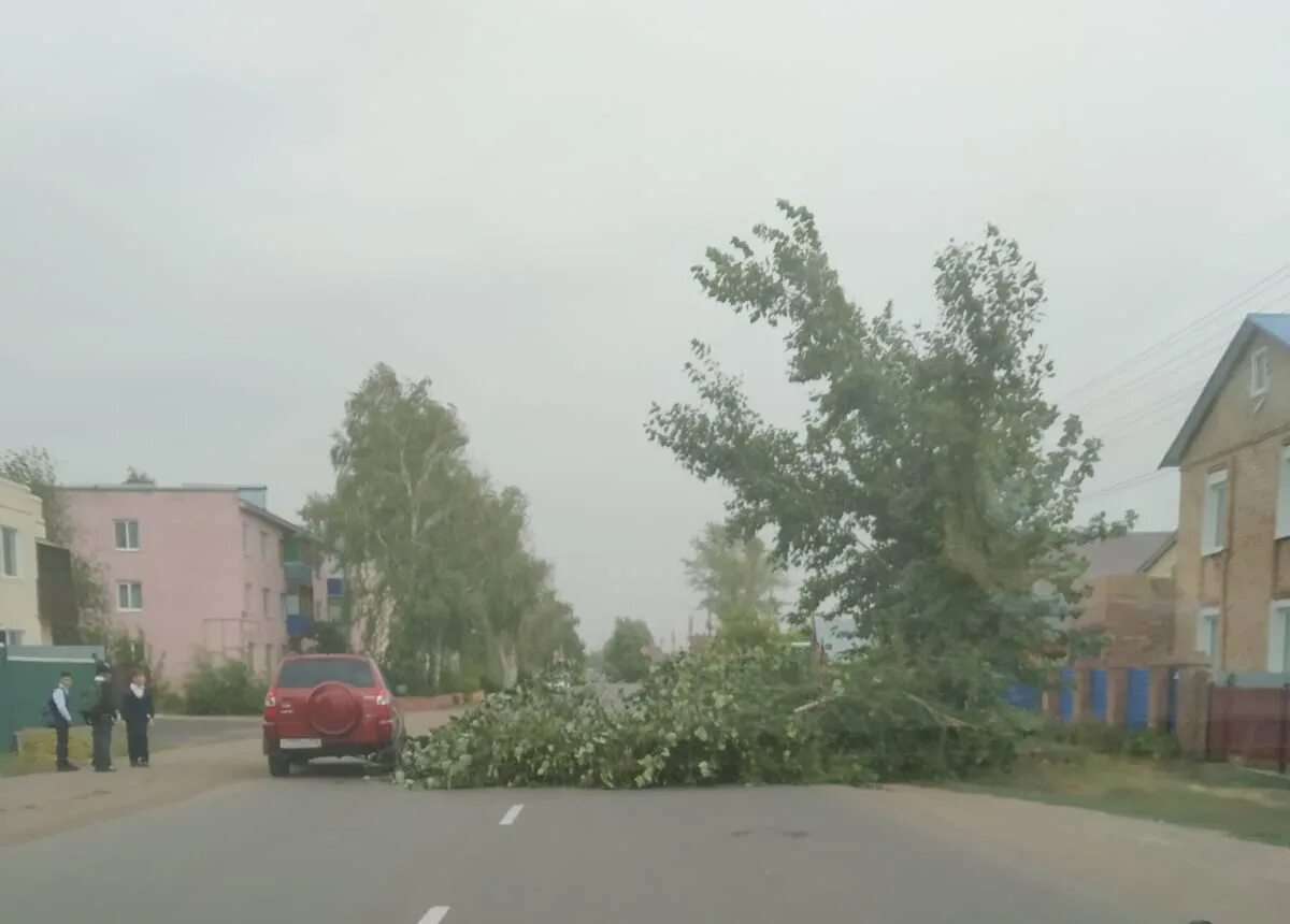 Погода в мелеузе по часам