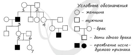 Вероятность в процентах рождения ребенка с признаком