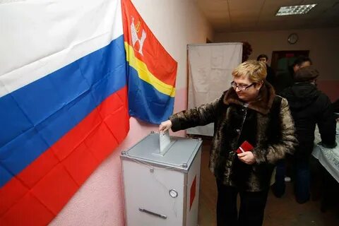 Выборы калининград