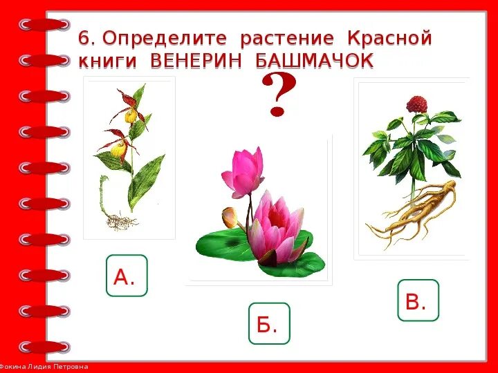 Кроссворд красная книга 2 класс. Контрольная работа окружающий мир красная книга. Проверочная красная книга 4 класс. Тесты по окружающему миру 2 класс плешаков школа. Проверочная красная книга 4 класс.