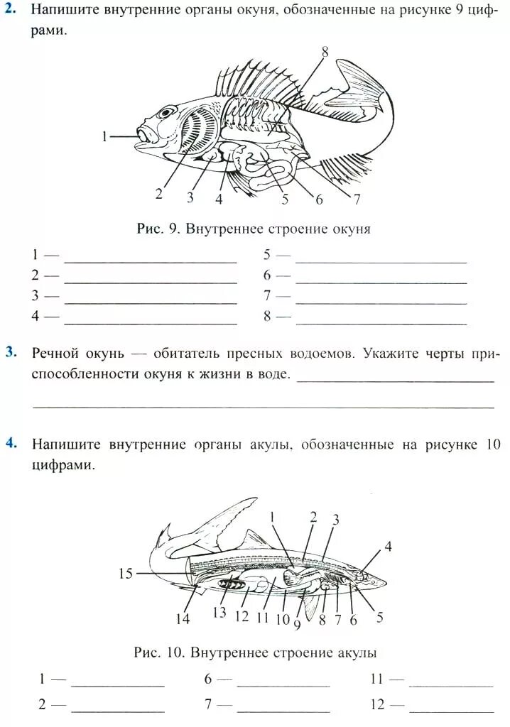 Тест по рыбам 8 класс