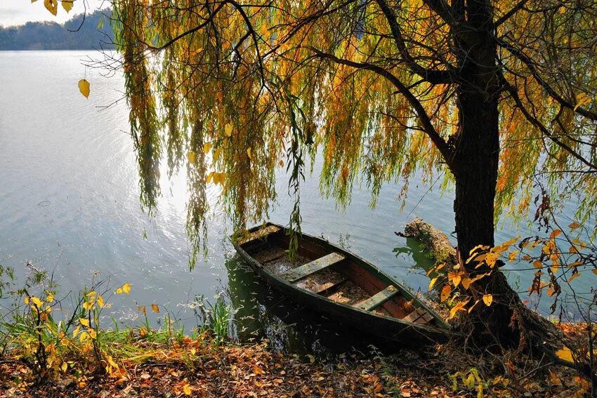 Речной пейзаж. Осеннее озеро. Осень река лодка. Осень озеро. Березовая лодка