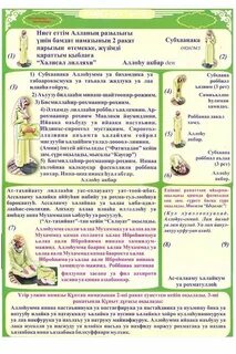 Интернеттегі барлық нәрсе туралы порно видеоларды қараңыз