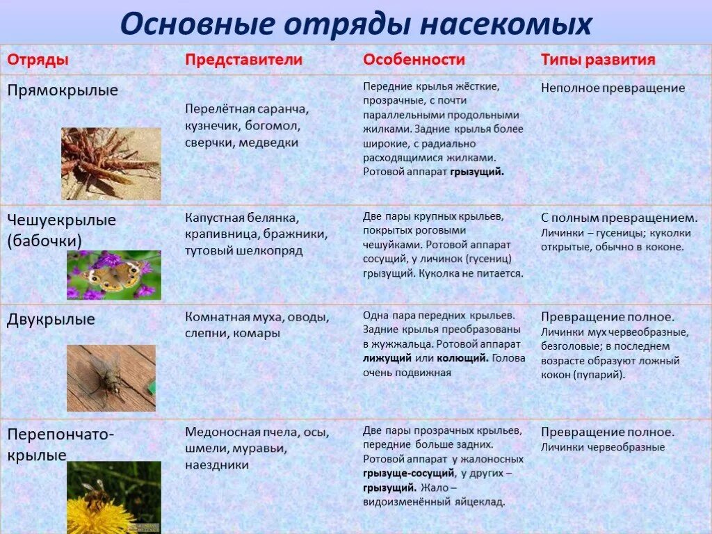 Характеристики и их разнообразии