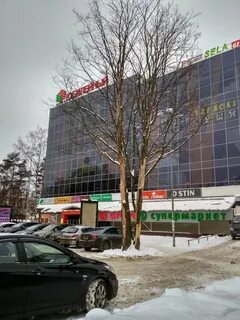 Кинополис всеволожск