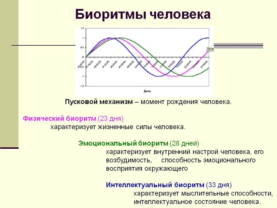 Что отражает биологическую составляющую человека. График суточных биоритмов человека. расчет биоритмов человека график. физиологические ритмы человека. что такое биологическое(биоритмы) человека.