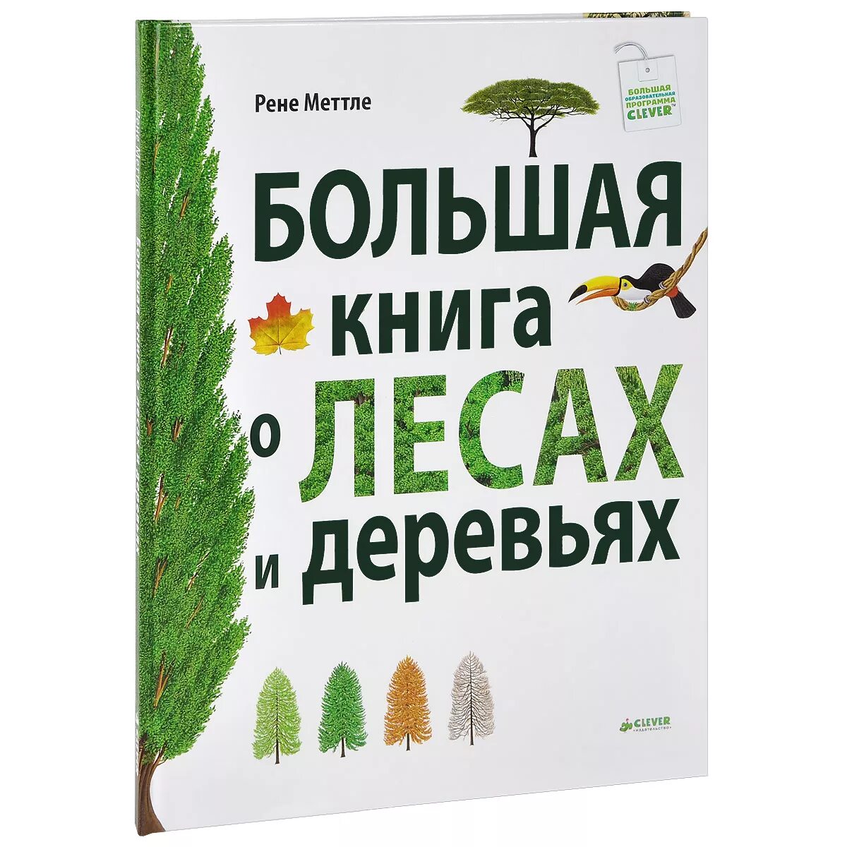 Дерево с книгами. Книга дети на деревьях. Книга дети на деревьях. Книга дети на деревьях. Дерево с книгами.