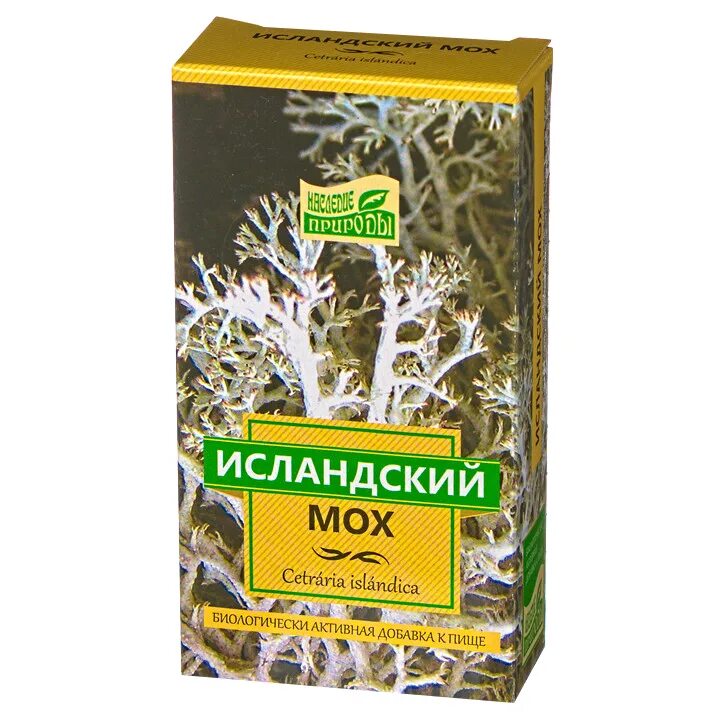 Исландский мох противопоказания купить цена