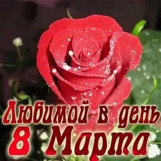 Поздравление с 8 жене от мужа видео
