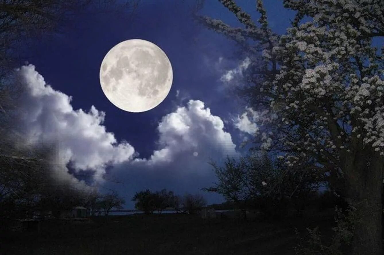 суперлуние 2014. полная луна. в ночь выходит луна. в ночь выходит луна. ночь луна облака.